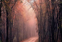 NBA在线直播JRS无插件直播好用吗？有哪些特点和注意事项？